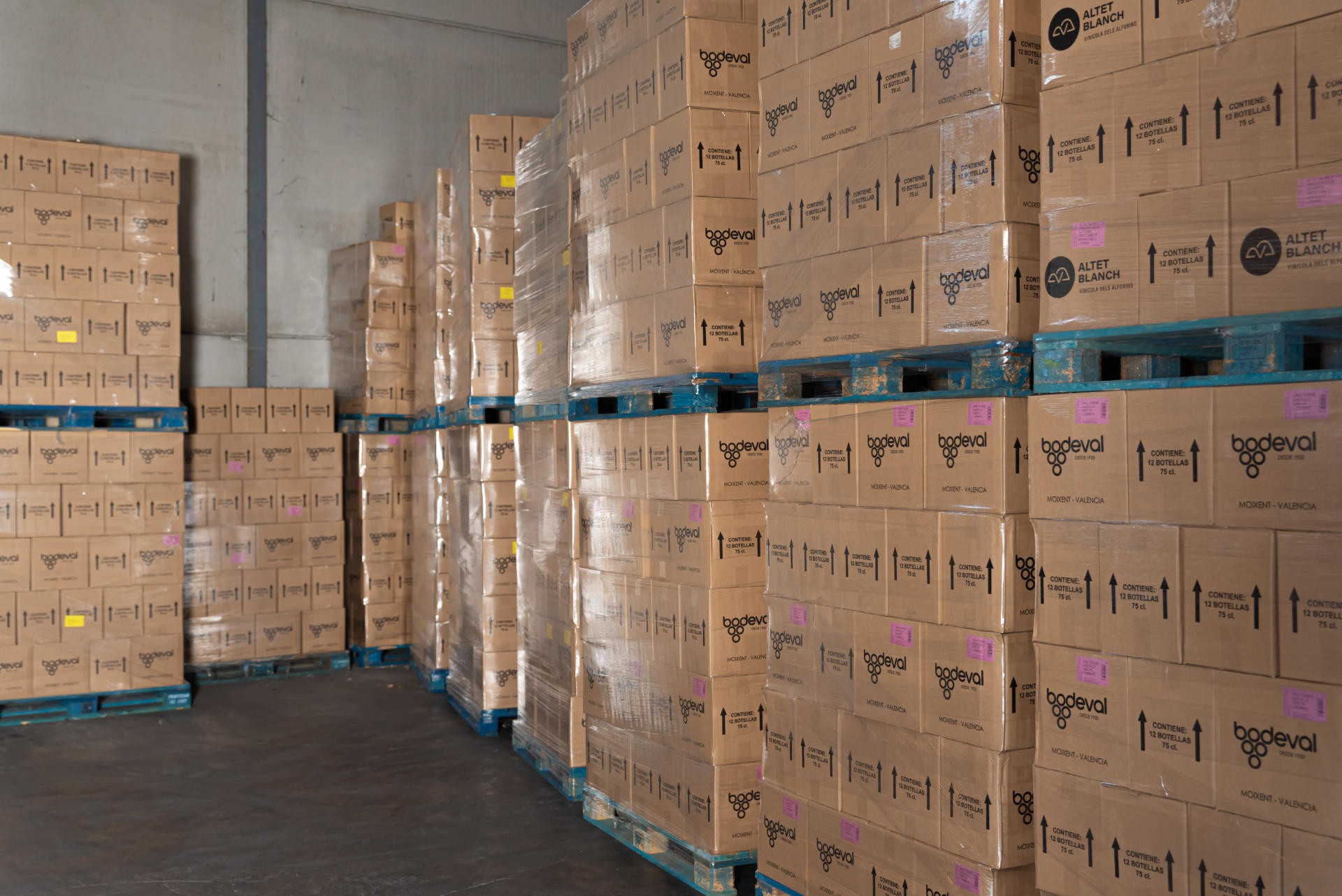 Bienvenido a Gasso Cano